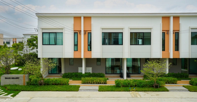 Related Article Thumbnail | Peace & Living